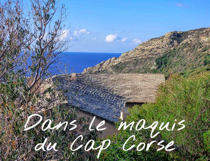 Locations de vacances dans le maquis du Cap Corse (Corse du nord)