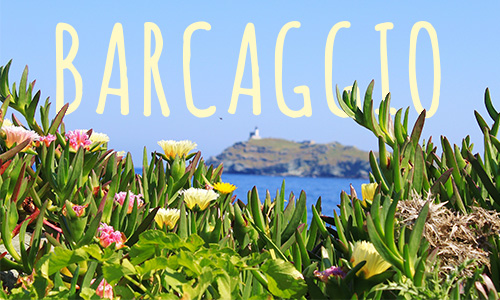 Barcaggio, un petit village au bout du Cap Corse avec des plages paradisiaques