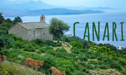Nos locations saisonnières à Canari sur la côte ouest de la région du Cap Corse (Haute Corse)
